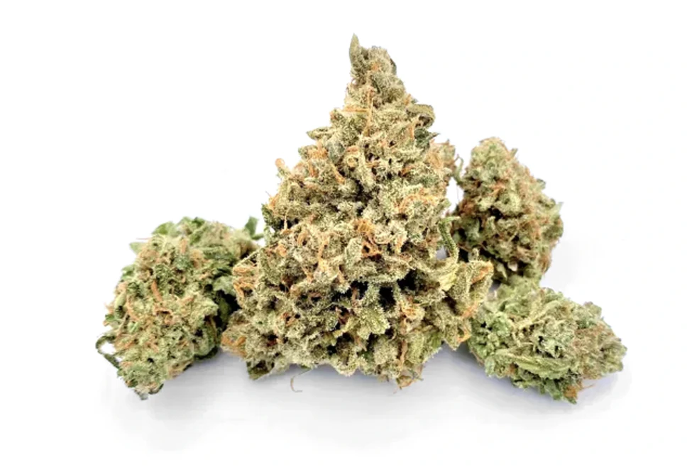 Baileys Buds - Liberty Haze | Pre-Ground 7g | TAXES INCLUDED Main Image