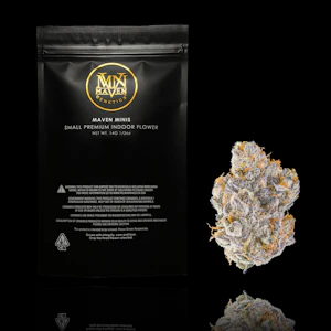 Maven Genetics - BLUE AGAPE 14G - MAVEN GENETICS