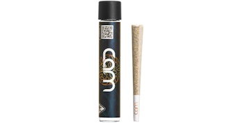 CAM - Glue Stick Pre-Roll - 1g