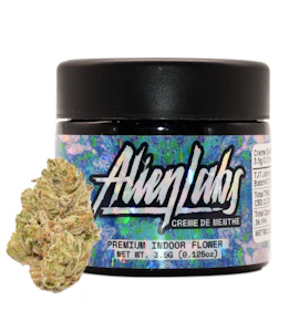 Alien Labs - Creme De Menthe 3.5g Jar - Alien Labs 