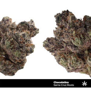 SANTA CRUZ ROOTS - Chocolatina | 3.5g | Santa Cruz Roots