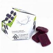 Wyld - Marionberry Indica Gummies 100mg