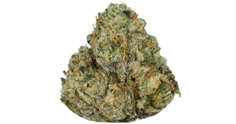 CAM - Brain Dead Private Reserve - 3.5g