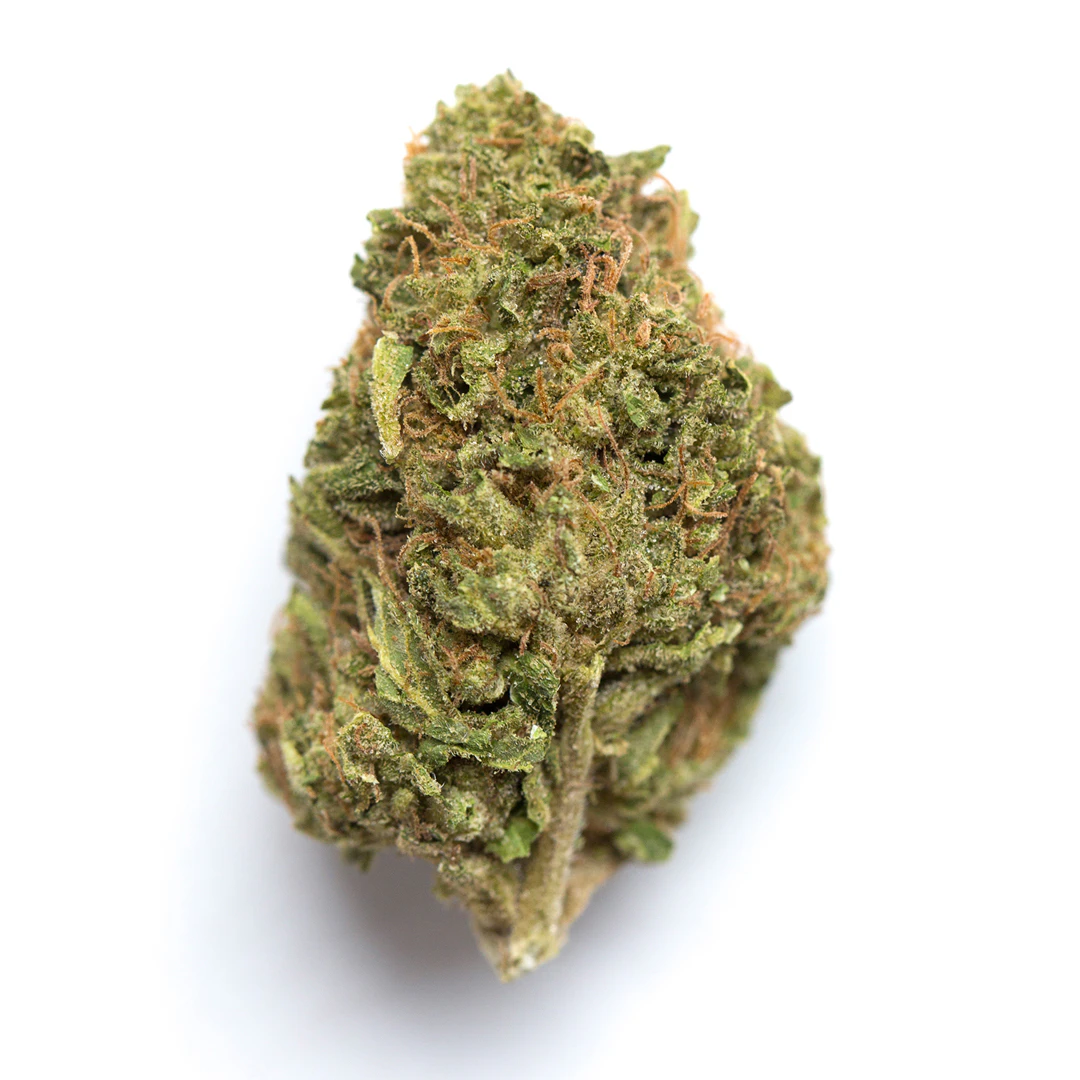 hl - Simply Lyfted - Lemon Grass - 1/8th Main Image
