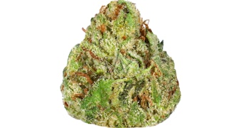 West Coast Cure - Forbidden Runtz Premium Flower - 3.5g