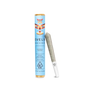 REVELRY - Strawberry Smoothie | 1g single Pre Roll | Revelry
