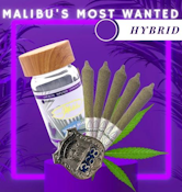 Malibu's Most Wanted Boogie Boards 3.5g Infused Pre-rolls 5pk - Malibu