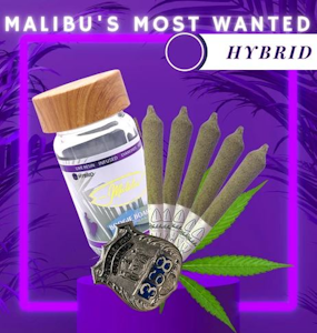 Malibu - Malibu's Most Wanted Boogie Boards 3.5g Infused Pre-rolls 5pk - Malibu