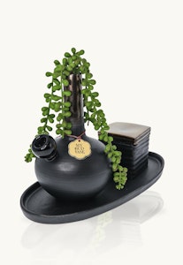 MY BUD VASE - My Bud Vase - Bong - The Deangelo