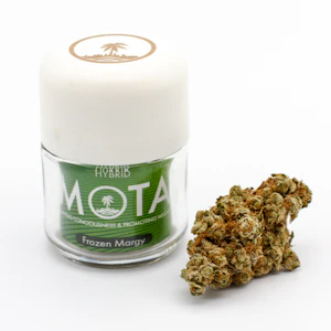 MOTA - MOTA 2103D Flwr 8th Frozen Marg Hyb