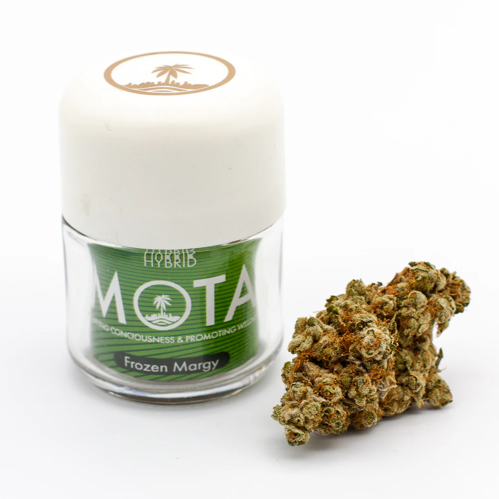 MOTA - MOTA 2103D Flwr 8th Frozen Marg Hyb Main Image