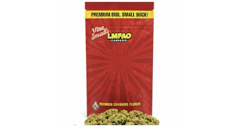 LMFAO -  Kush Mints - 14g