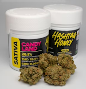 Hash tag Honey | Candy Land | 3.5g