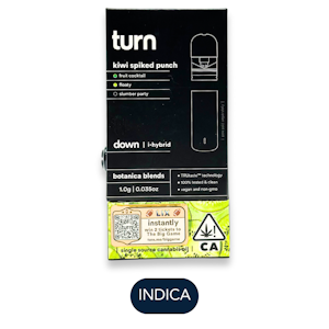 TURN - Turn - Kiwi Spiked Punch - Vape Pod - 1.0g