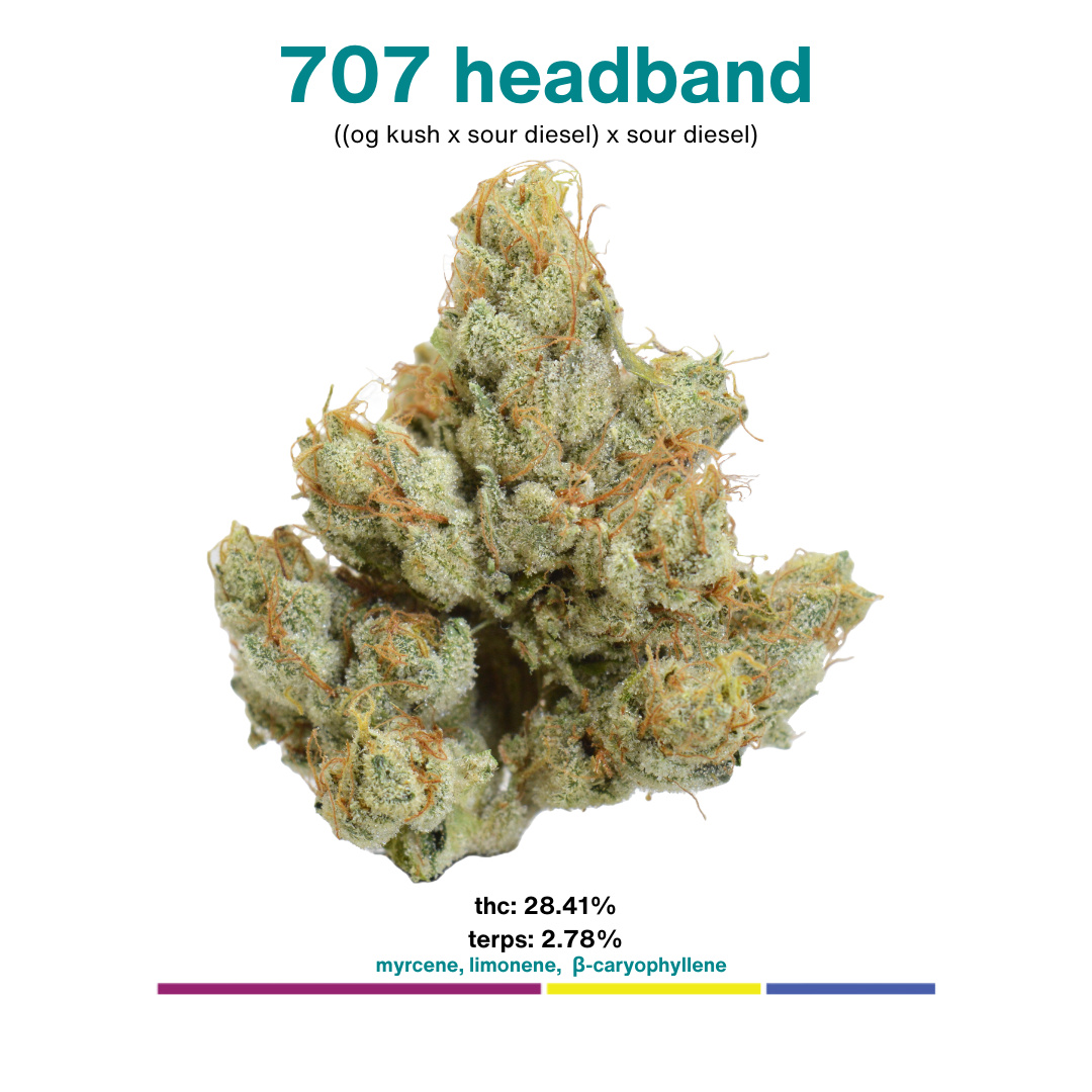 MOCA Flowers - Smalls 1/4 Bag - 707 Headband