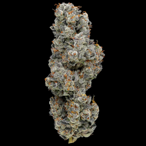 FIG FARMS - Figment - 3.5g (I) - Fig Farms