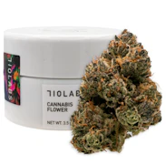 710 Labs | Lemon Tart Pucker #1 | Living Soil Indoor Flower | 1/8oz