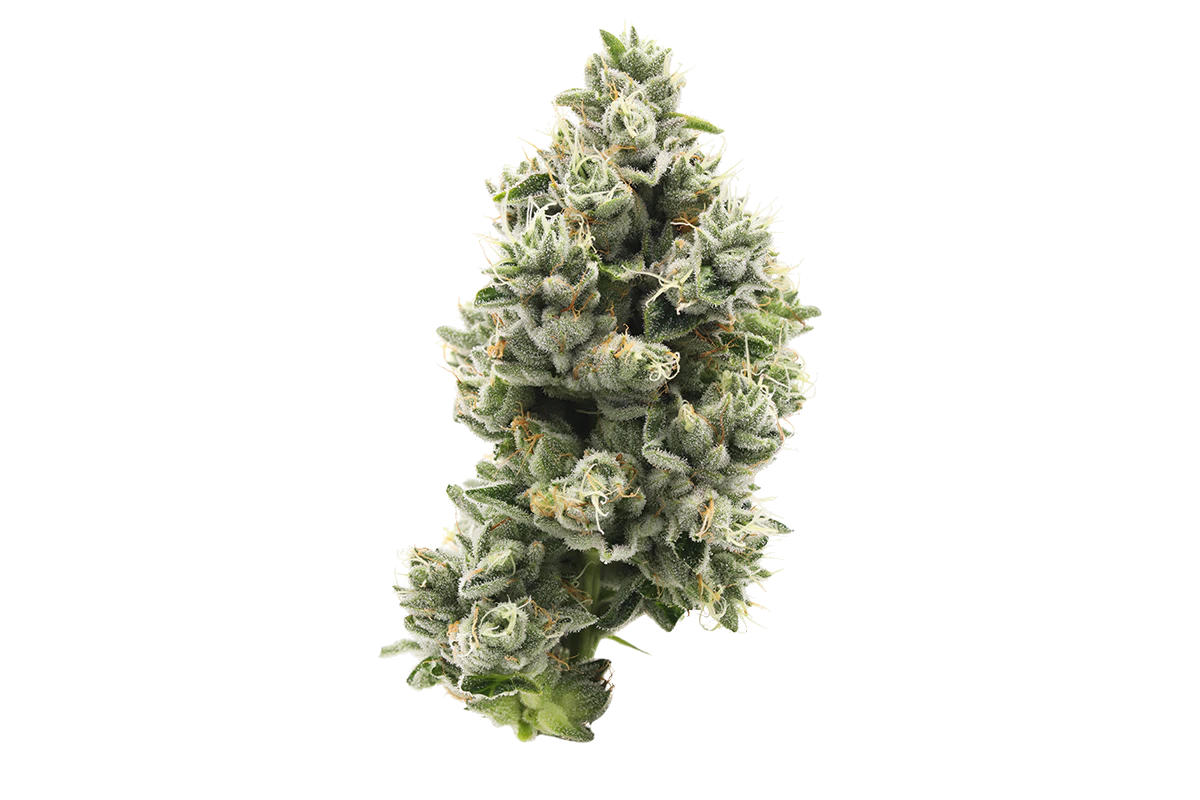 710 Labs - 710 Labs | The Sweeties #7 | 3.5g Main Image
