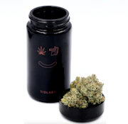 710 LABS - Flower - The Rucker #1 - 14G