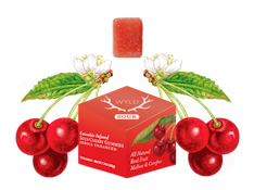 Sour Cherry