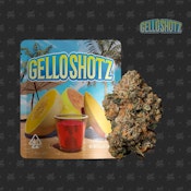 Seed Junky - Sativa - Gello Shotz Indoor - (3.5g)