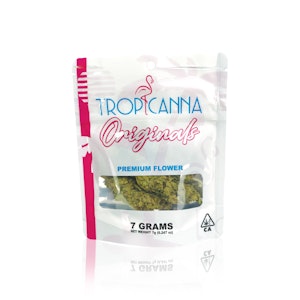 TROPICANNA - TROPICANNA - Flower - Italian Ice - 7G