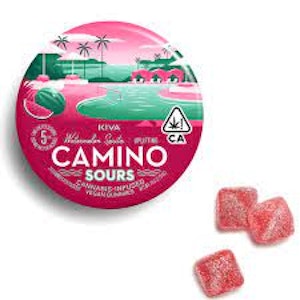 Camino - Watermelon Spritz Sourz 100mg Gummies