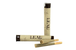 LEAL - Hella Jelly - 1g - Preroll