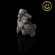 Pacific Grove | Grapricot Pie | indoor flower