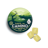 Kiva Camino Gummies Sparkling Pear CBD:THC $20