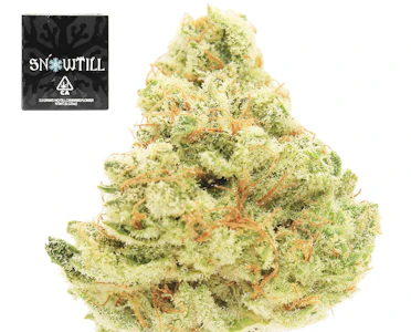 Snowtill - Grumpy Tiger - 3.5g (H) - Snowtill