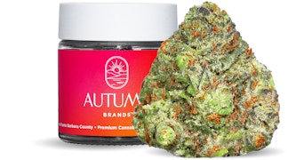 Autumn Brands - Space Station - 3.5g