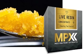 [REC] MPX | Blue Runtz | 1g Sugar