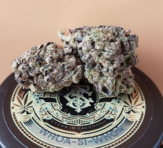 Top Shelf Cultivation - Top Shelf Cultivation - Whoa Si Whoa - 3.5g (1/8oz) Flower