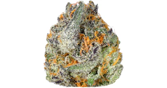 Decibel Gardens - Roswell 47 - 3.5g