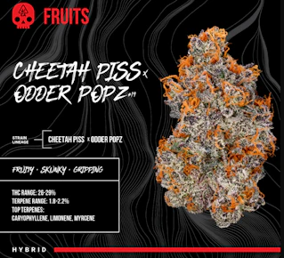 CHEETAH PISS X ODDER POPZ #19 SMALLS - 14 G