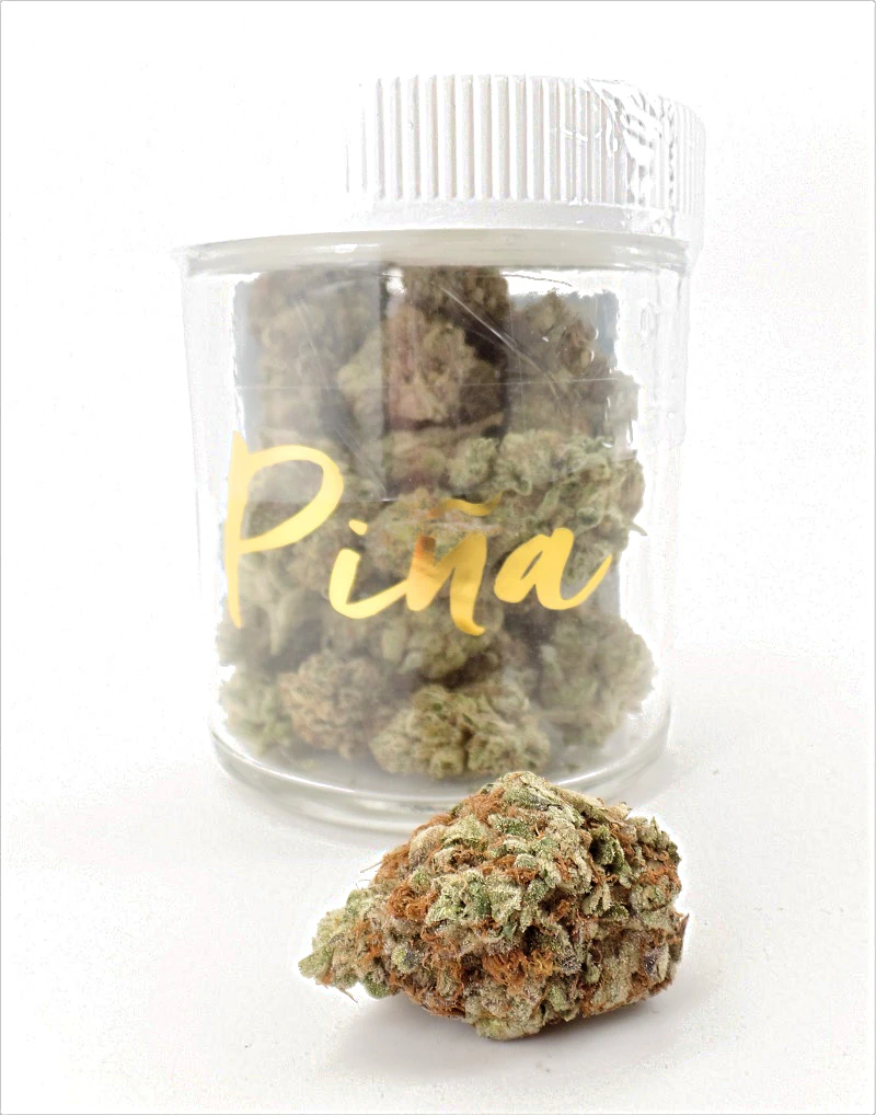 Pina - Waffle Cone (1/2oz) Main Image