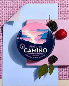CAMINO - Wild Berry (100mg) Gummies