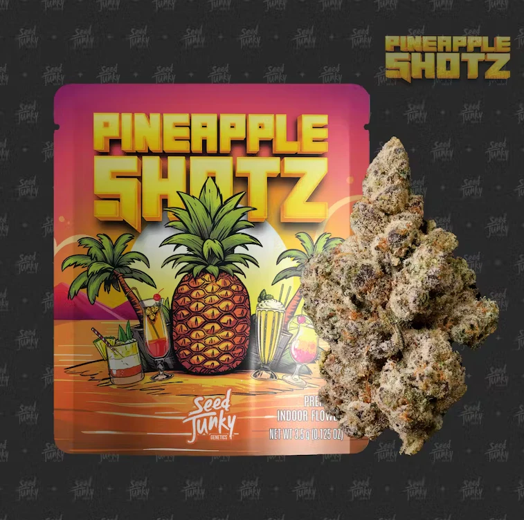 Seed Junky Genetics Michigan - Seed Junky Genetics - 3.5g - Pineapple Bang Main Image