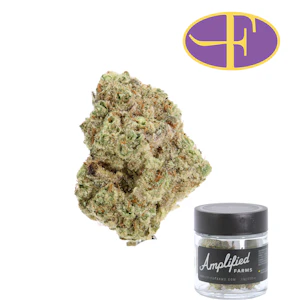 AMPLIFIED - Cereal Milk