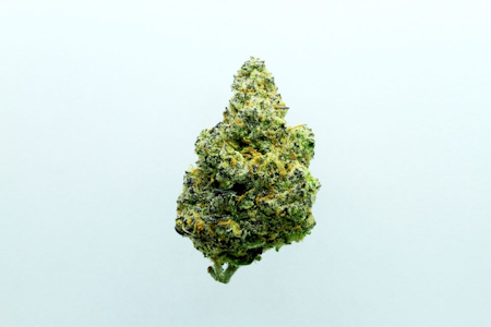 SF Cultivators - Super Lemon Cherry - 14g (H) - SF Cultivators