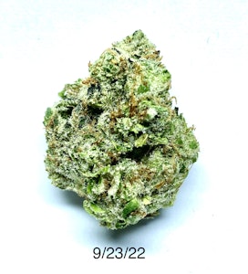 PROHIBITION 37 - P37 - Tony Clifton