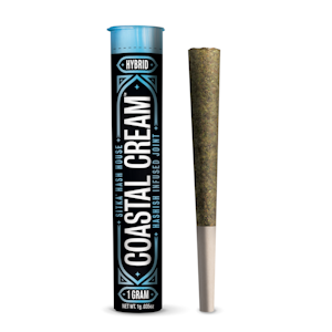 SITKA - 1g Coastal Cream Infused Hybrid Hash Pre-Roll - Sitka