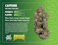 Caffeine - 3.5g (S) - Seed Junky