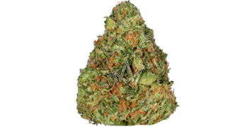 Preferred Gardens - D-Lish - 3.5g