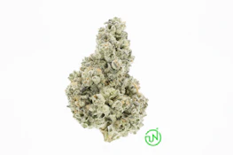 Blueberry Pancakes - 3.5g (I) - UpNorth