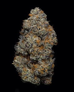 White Truffle