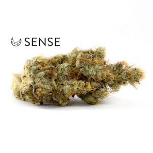 Sense - GMO - 3.5g (IH) - Sense