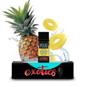 PLUGPLAY - Plug Play Vape 1g | DNA Pineapple Express (H)