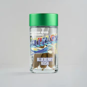 Jetpacks - FJ-3 Blueberry Kush - Infused Prerolls - 3g
